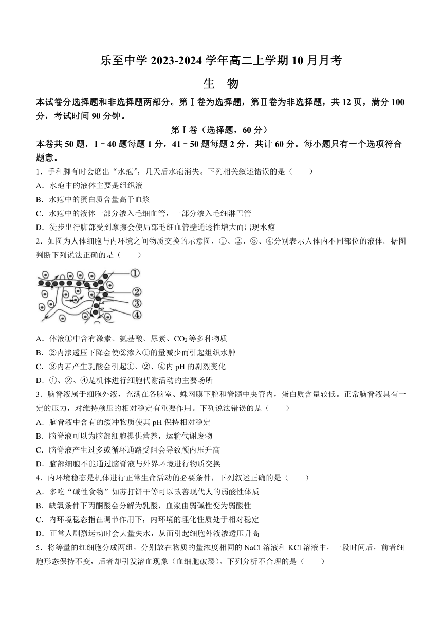 四川省资阳市乐至中学2023-2024学年高二上学期10月月考生物学试题（含答案及解析）