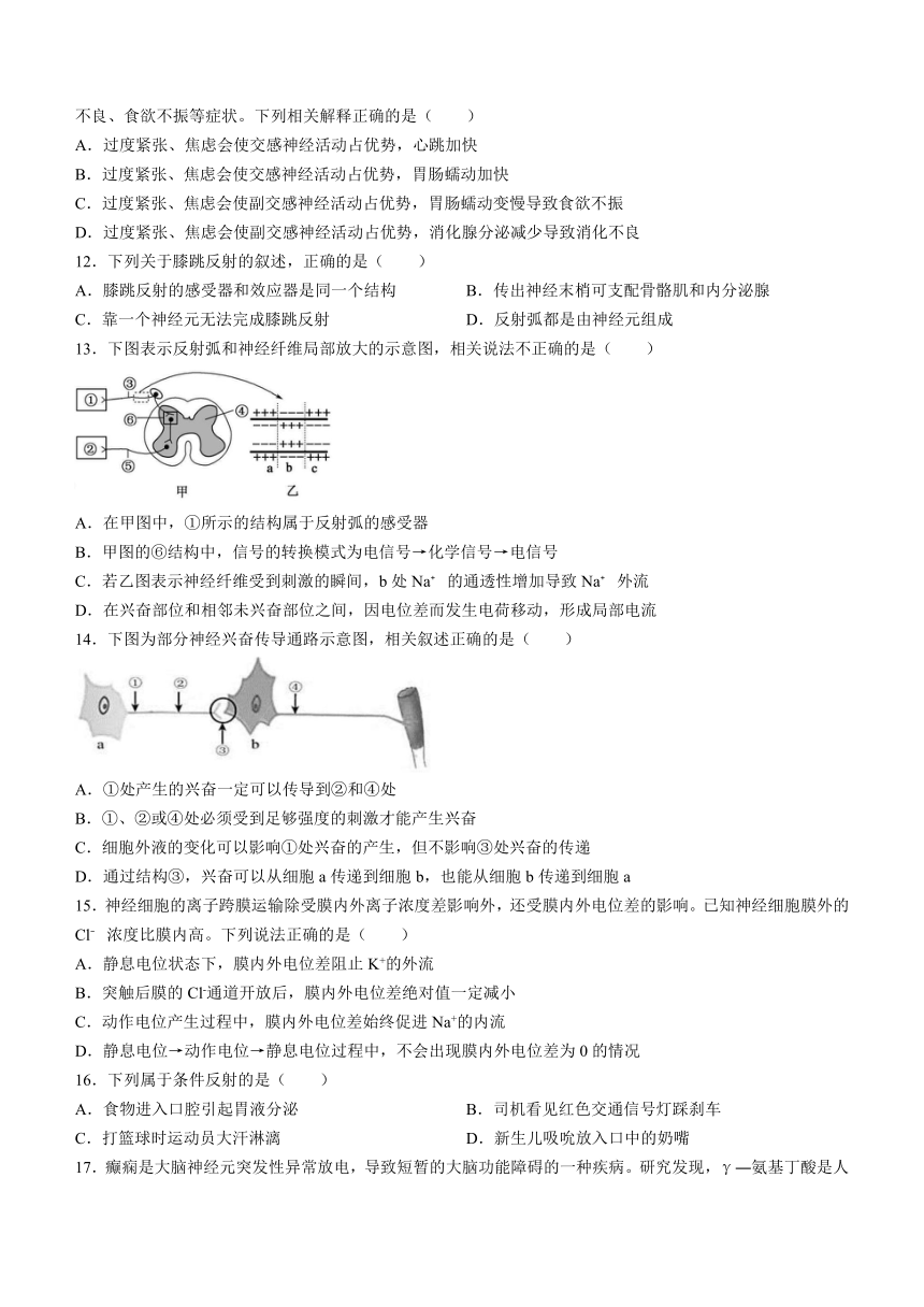 四川省资阳市乐至中学2023-2024学年高二上学期10月月考生物学试题（含答案及解析）