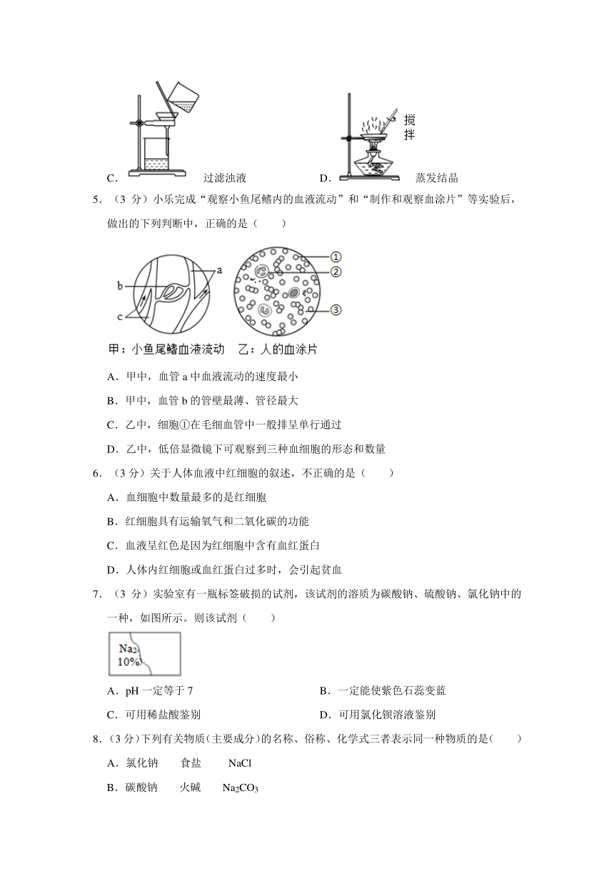 浙江省台州市椒江区北大附中台州飞龙湖学校2023-2024学年九年级上学期9月月考科学试卷（第1、2、4章，含解析）