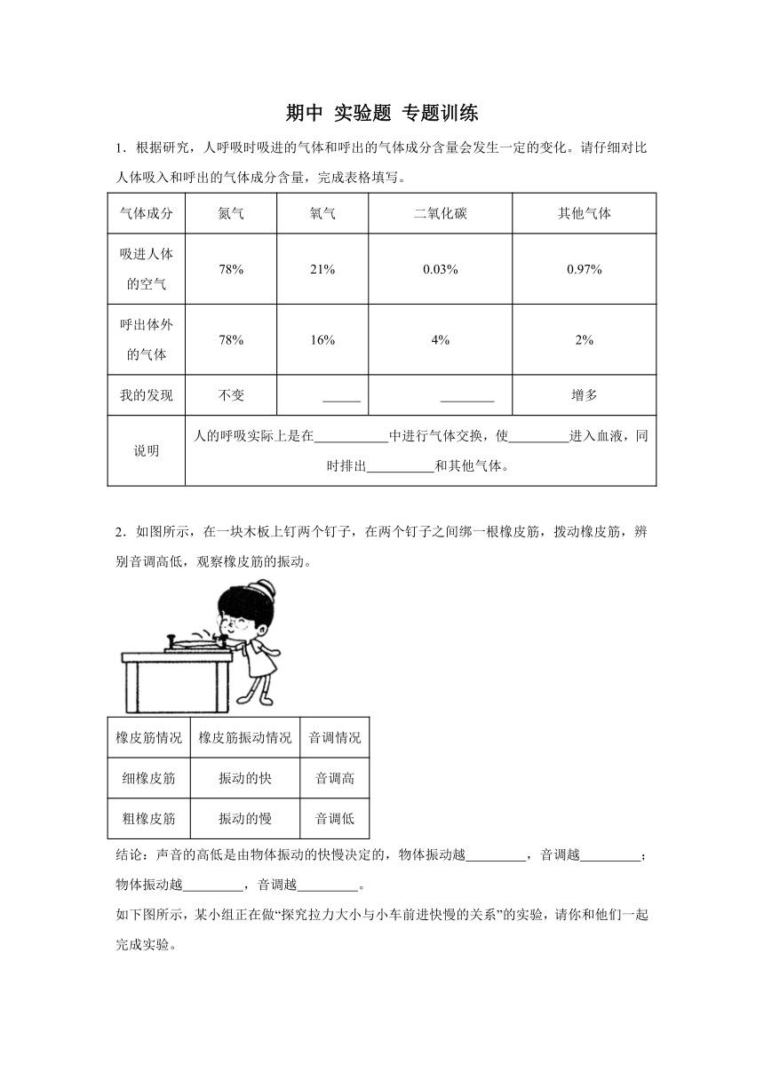 科学四年级上册（大象版2017）期中实验题专题训练(含解析)