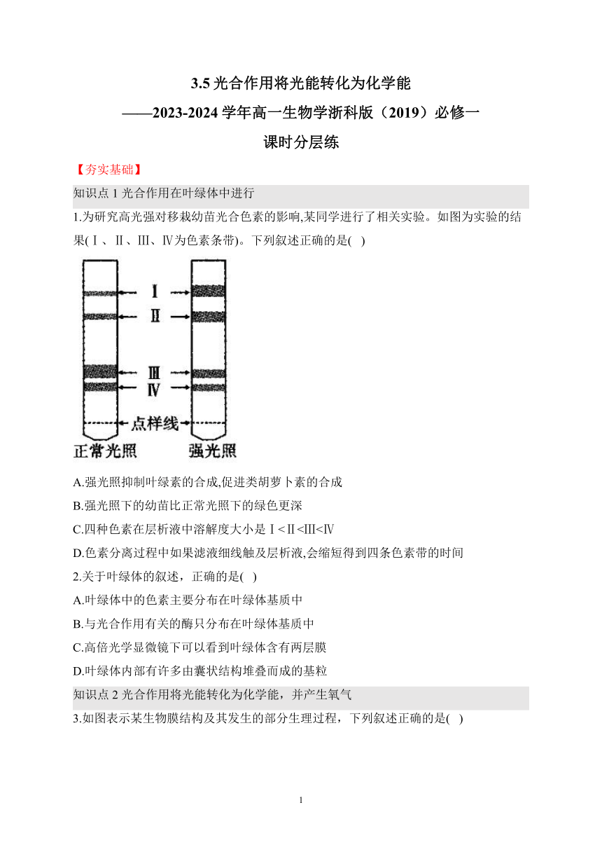 3.5光合作用将光能转化为化学能（含解析）——2023-2024学年高一生物学浙科版（2019）必修一课时分层练