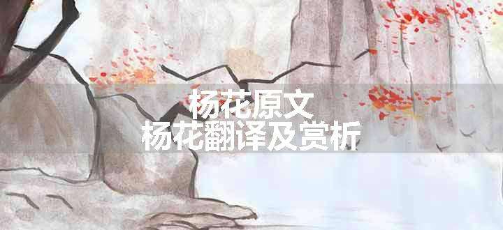 杨花