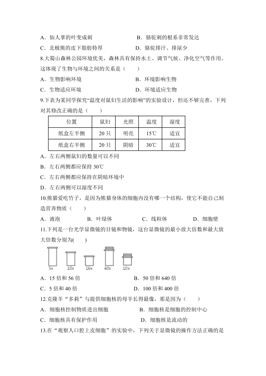 吉林省辽源市东丰县那丹伯镇中学2023-2024学年七年级上学期期中达标生物模拟卷（无答案）