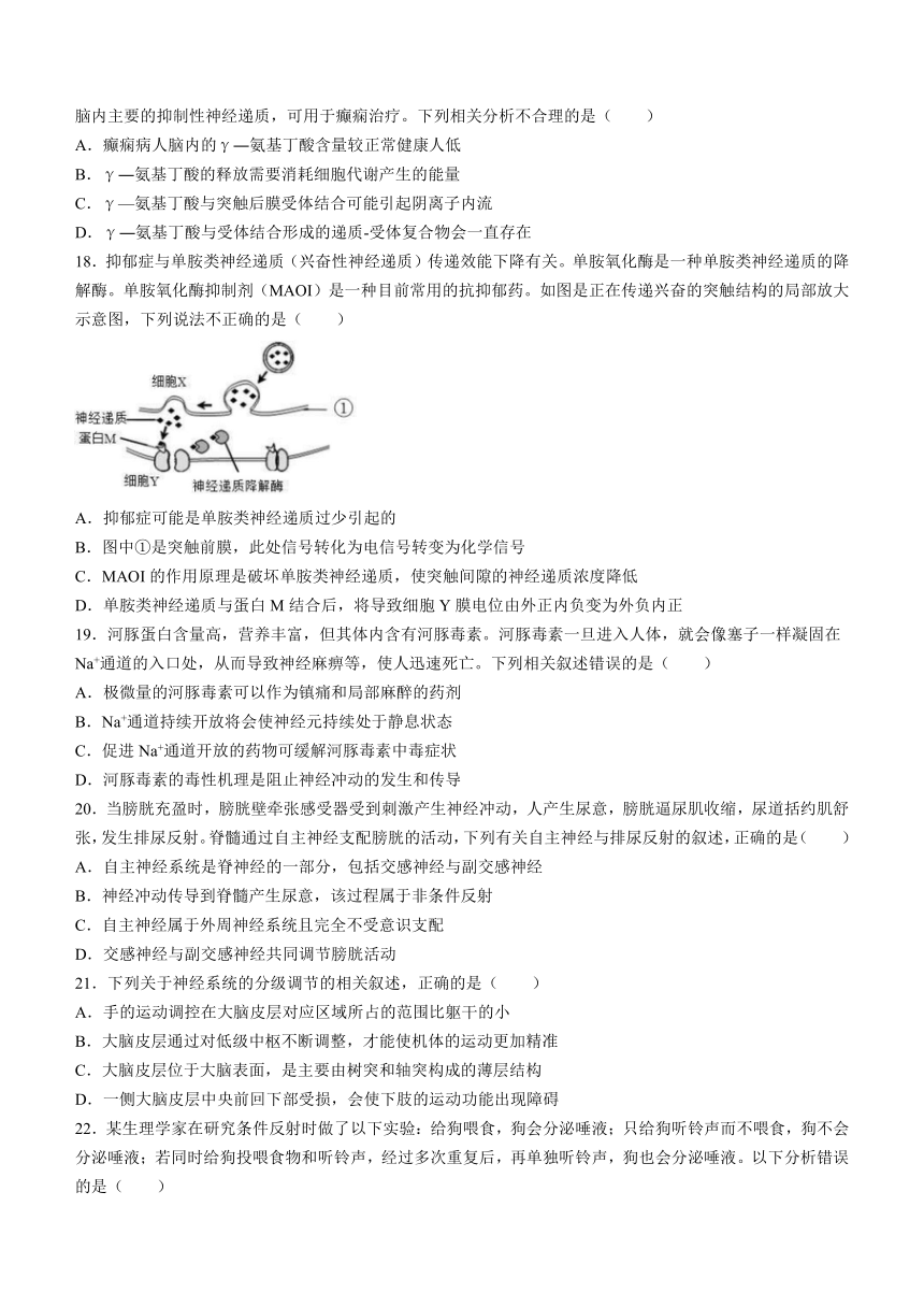 四川省资阳市乐至中学2023-2024学年高二上学期10月月考生物学试题（含答案及解析）