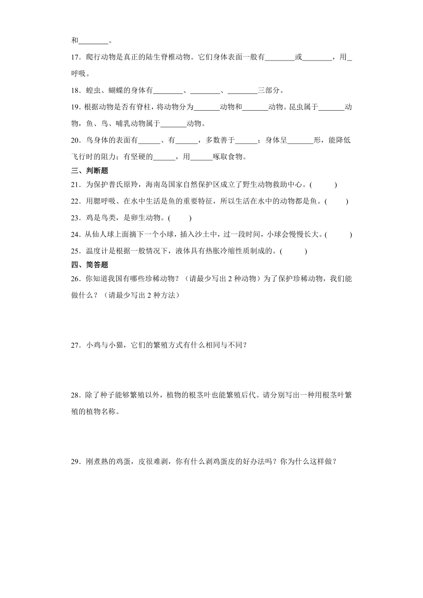 人教鄂教版（2017秋）小学科学 四年级上册 期中试题（含答案）