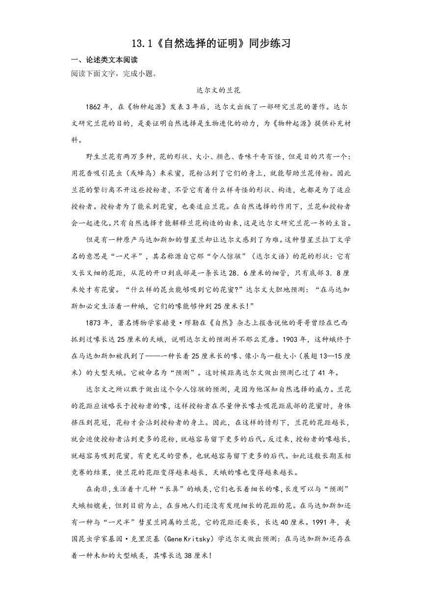 13.1《自然选择的证明》同步练习 （含答案）统编版高中语文选择性必修下册