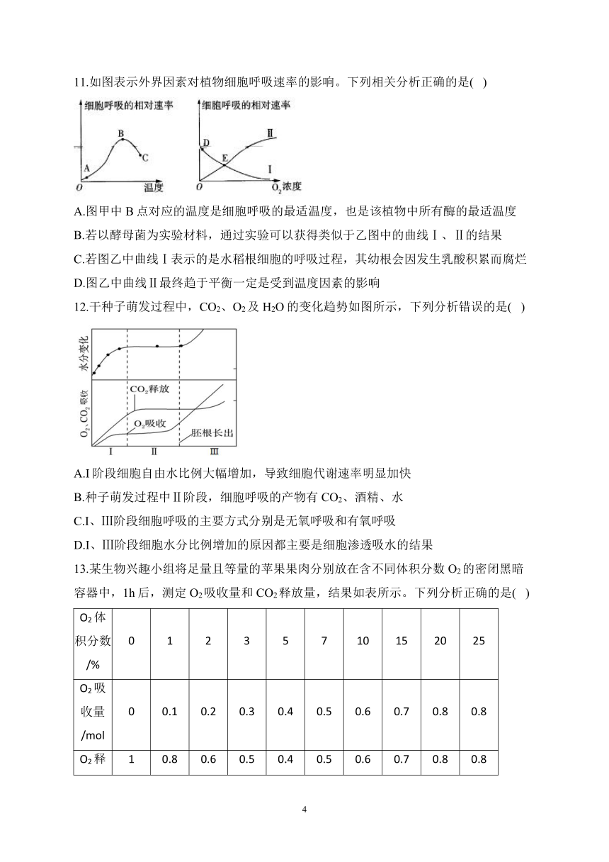 3.4细胞呼吸为细胞生活提供能量（含解析）——2023-2024学年高一生物学浙科版（2019）必修一课时分层练