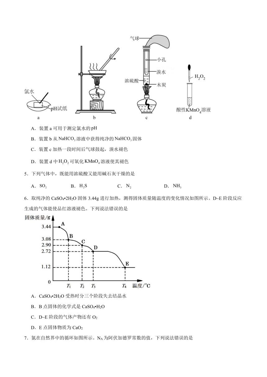 第3章《硫、氮及其循环》单元检测题（含解析） 2023-2024学年高一上学期沪科版(2020)高中化学必修第一册