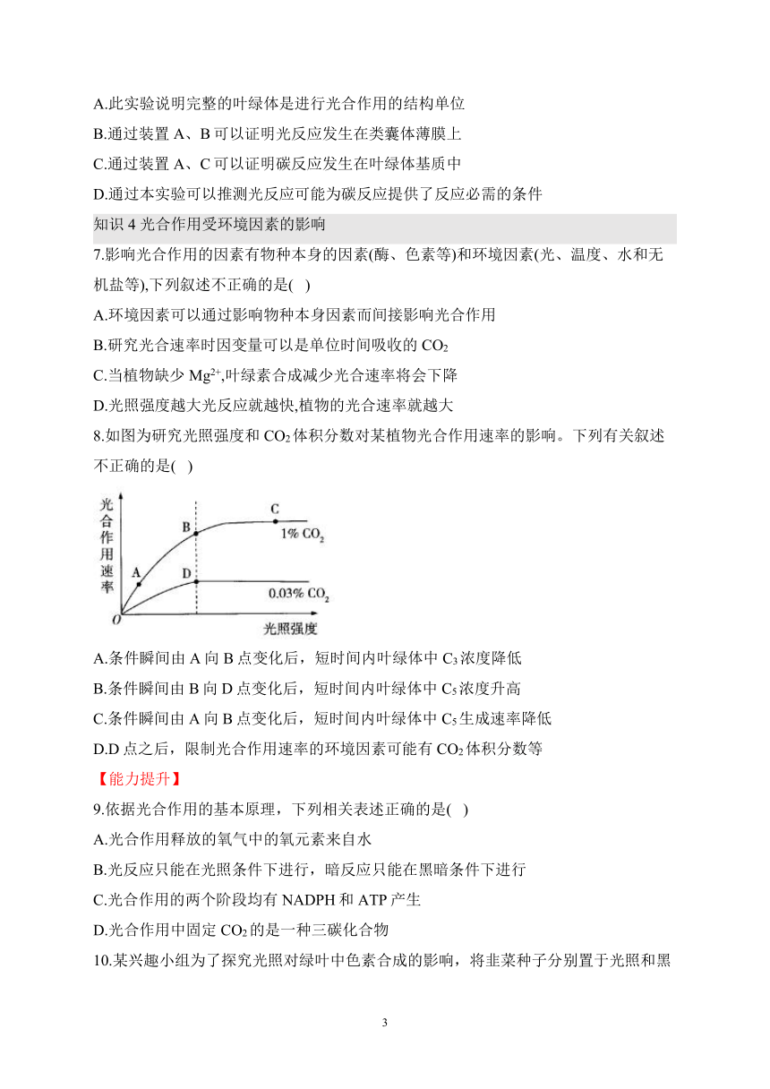 3.5光合作用将光能转化为化学能（含解析）——2023-2024学年高一生物学浙科版（2019）必修一课时分层练