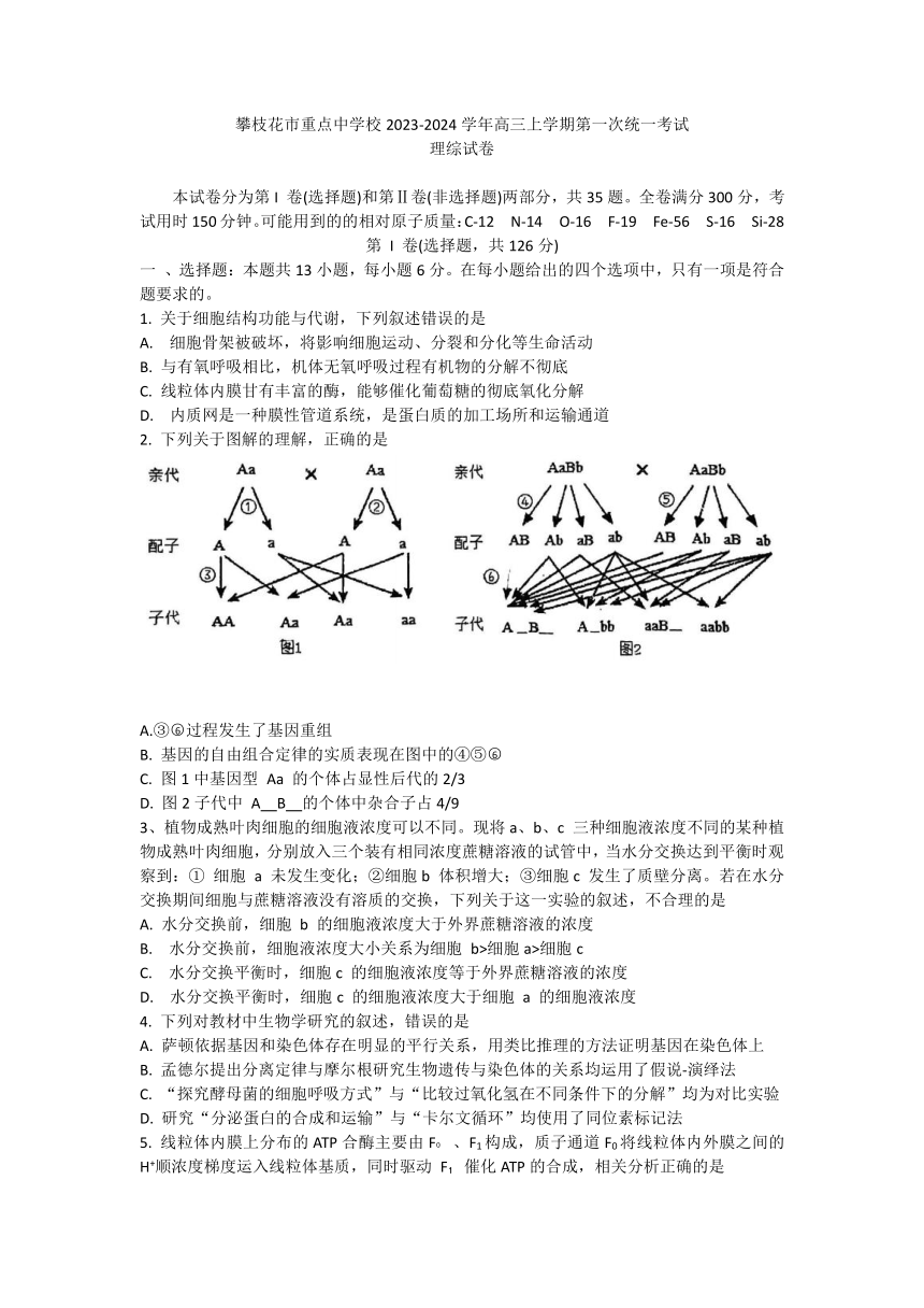 四川省攀枝花市重点中学校2023-2024学年高三上学期第一次统一考试理科综合试卷（含答案）