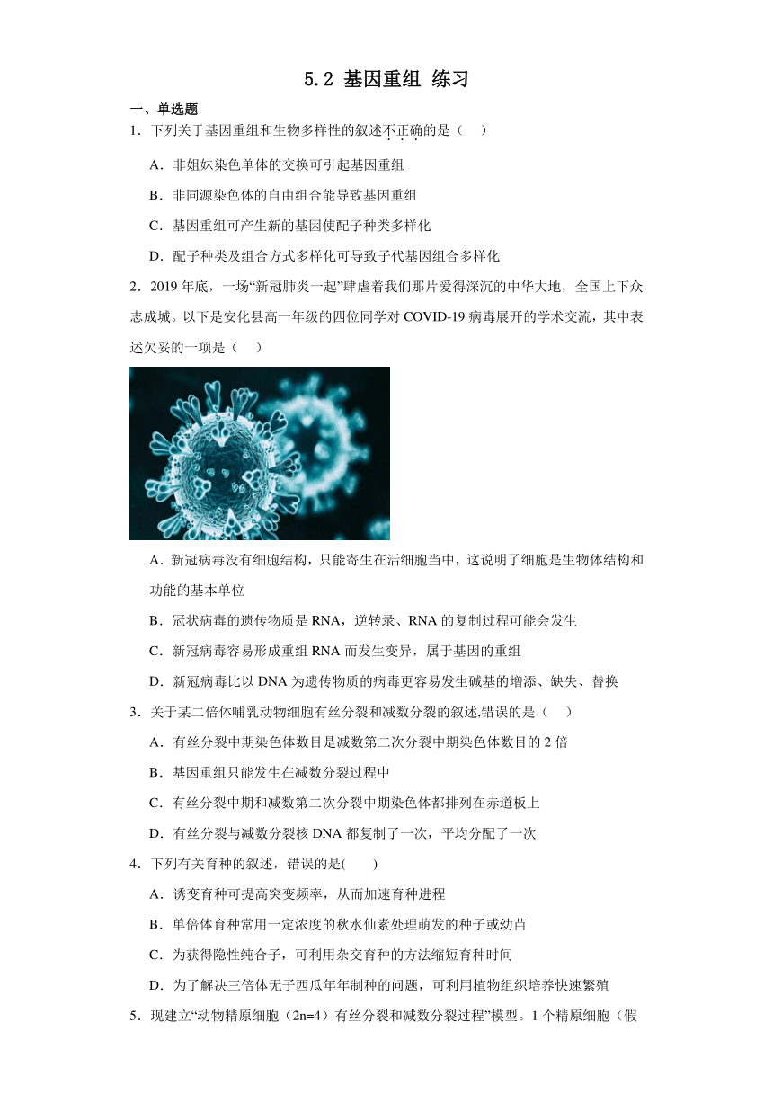 5.2 基因重组 练习 2023—2024学年高一下学期生物北师大版必修2（含答案）