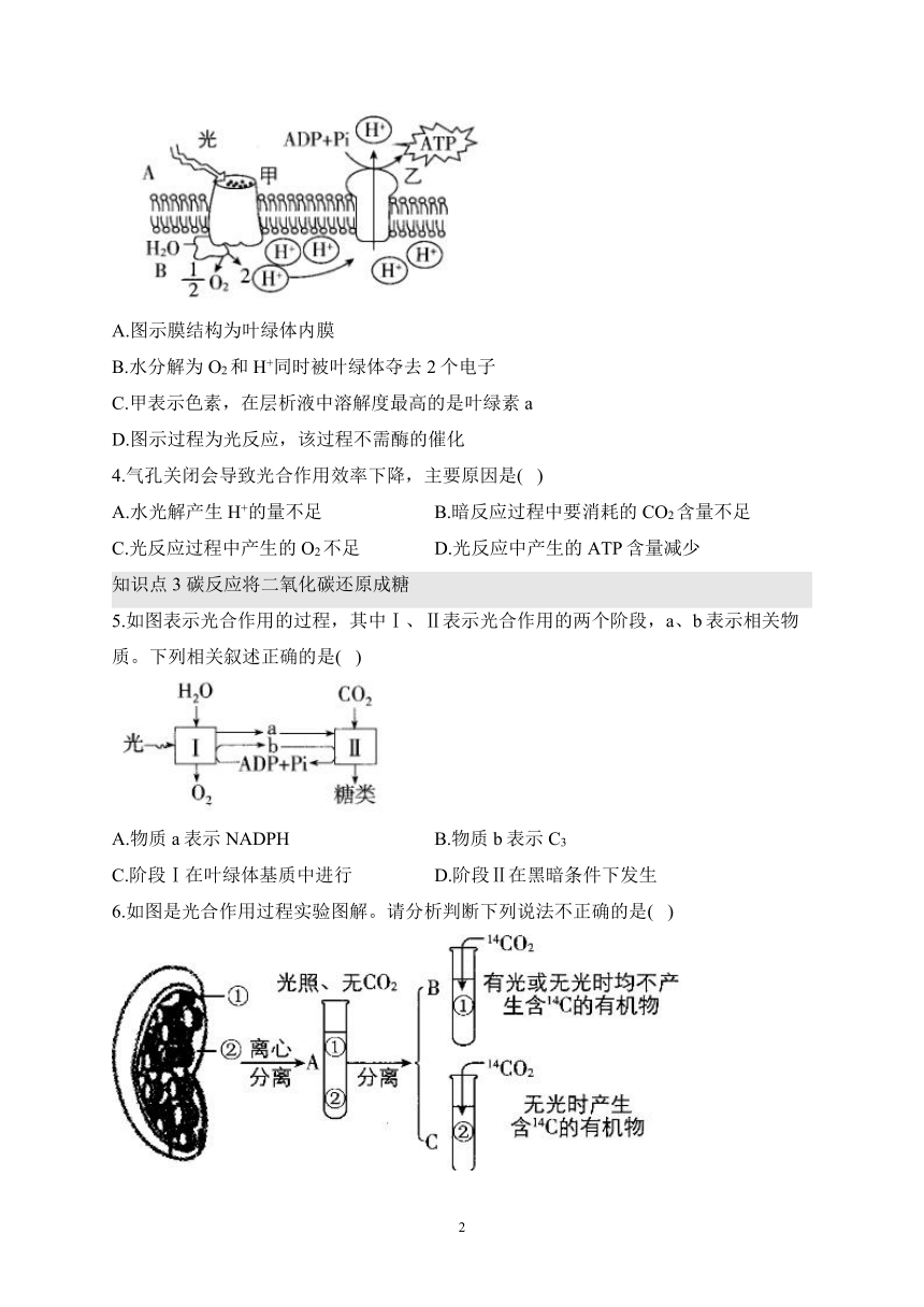 3.5光合作用将光能转化为化学能（含解析）——2023-2024学年高一生物学浙科版（2019）必修一课时分层练