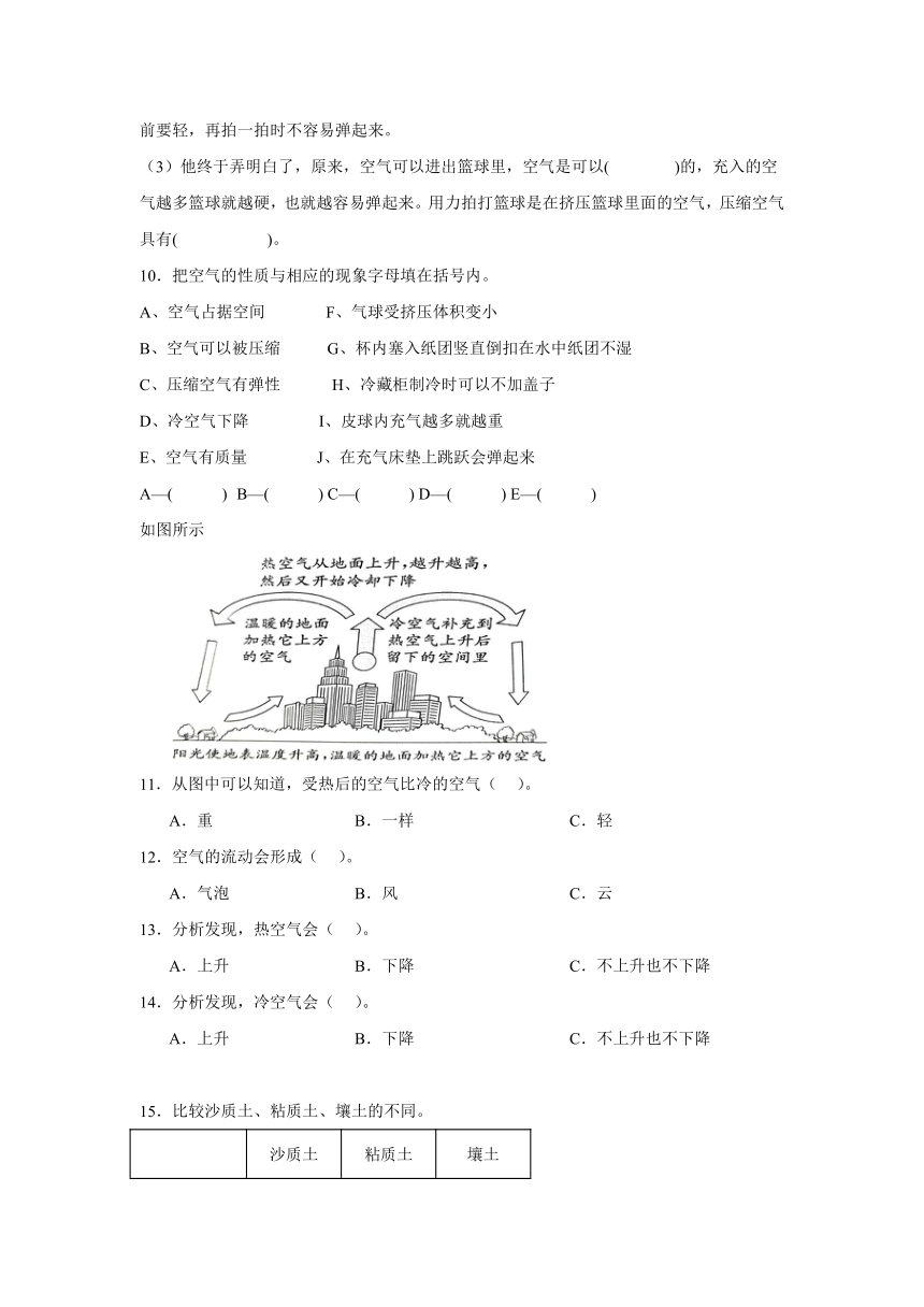 科学三年级上册（苏教版2017）期中综合题 专题训练（含解析）