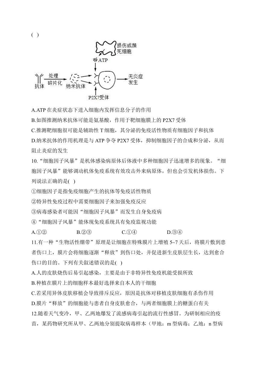 第4章 免疫调节 检测卷——2023-2024学年高二生物学浙科版（2019）选择性必修一（含解析）