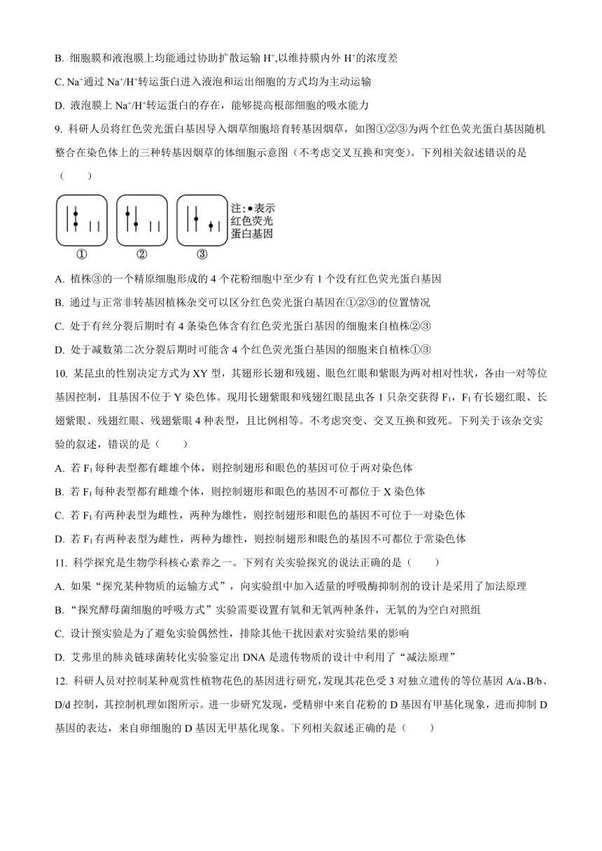 山东省枣庄市滕州市2023-2024学年高三上学期期中考试生物试卷（解析版）