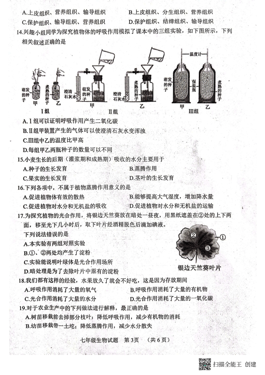 山东省菏泽市东明县2023-2024年度秋季学期期中质量检测七年级生物学试题（PDF版无答案）