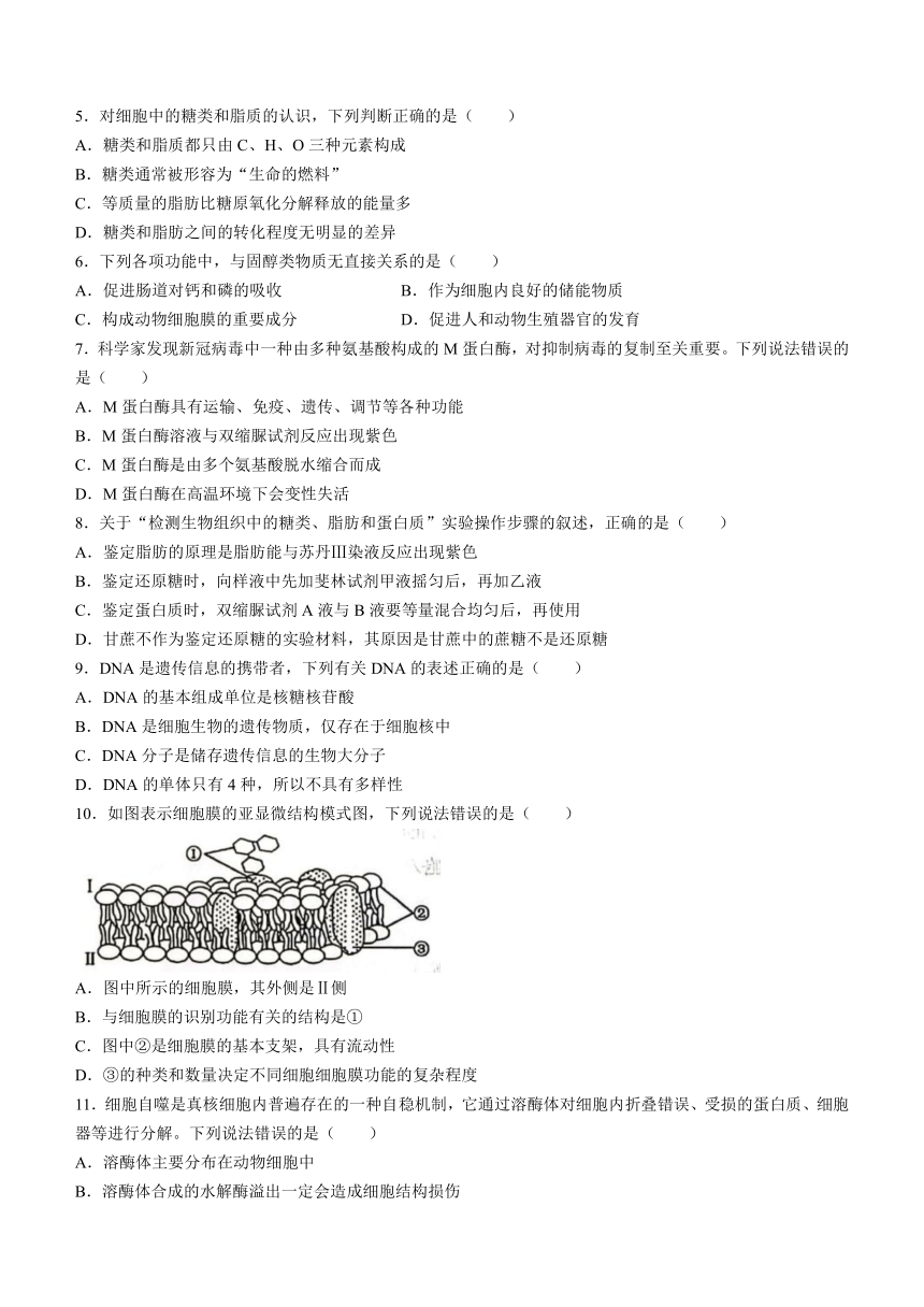 吉林省四平市2023-2024学年高一上学期期中教学质量检测生物学试题（含答案）