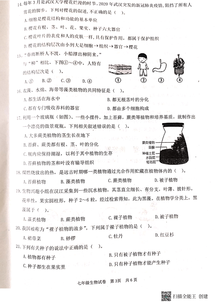 河北省唐山市迁安市2023-2024学年七年级上学期期中生物试题（图片版无答案）