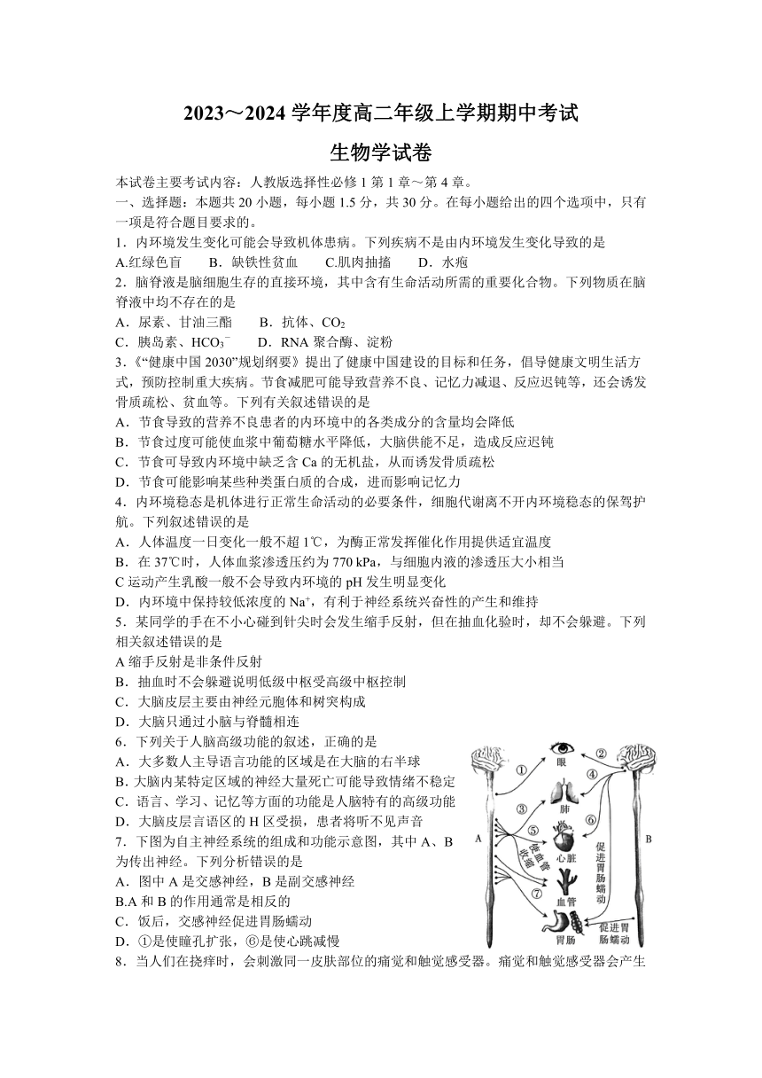 吉林省松原市前郭尔罗斯蒙古族自治县第五高级中学2023~2024学年高二上学期期中考试生物试题（含答案）