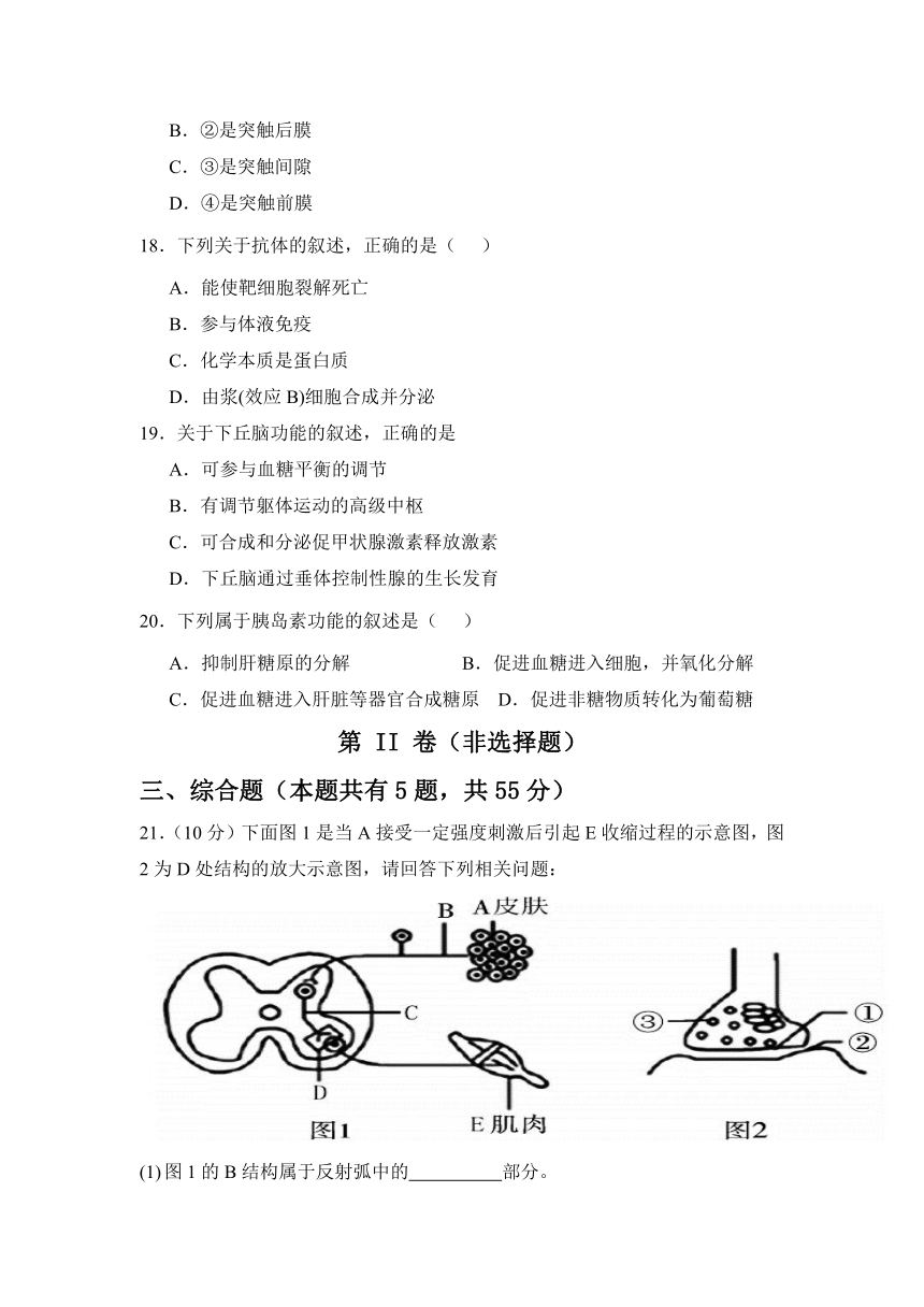 黑龙江省佳木斯市四校2023-2024学年高二上学期11月期中联考生物学试题（含解析）