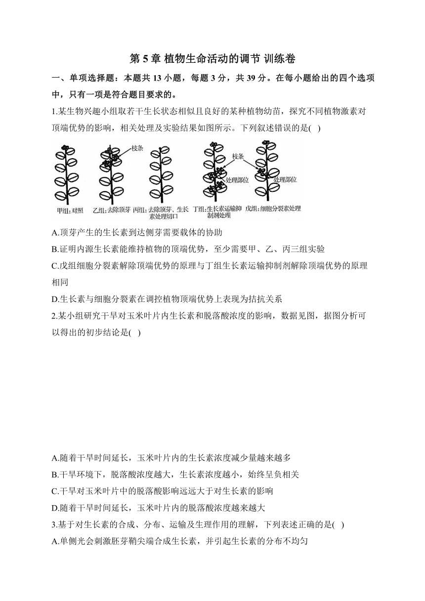 第5章 植物生命活动的调节 训练卷——2023-2024学年高二生物学人教版（2019）选择性必修一（含解析）