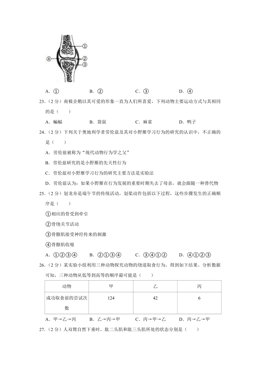 广东省惠州市惠阳一中实验学校2023-2024学年八年级上学期10月份月考生物试卷（含解析）