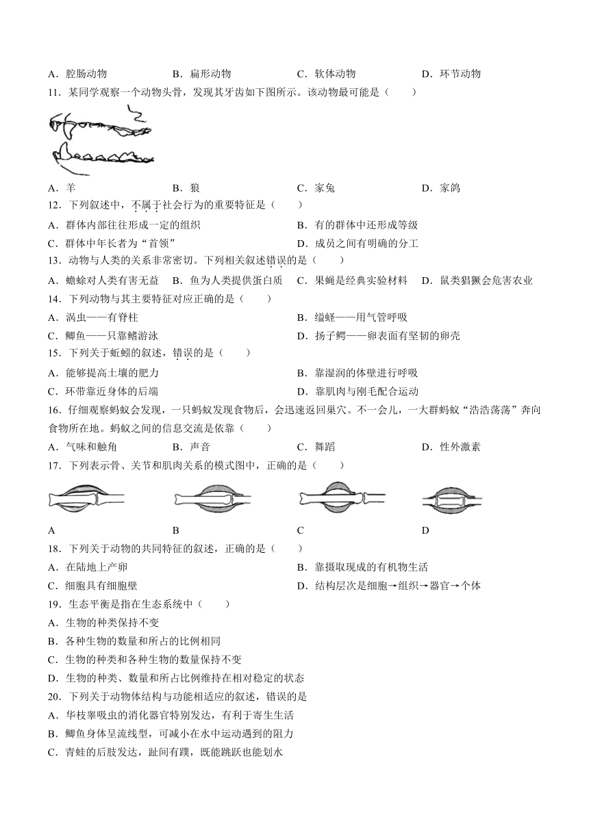 辽宁省大连市甘井子区2023-2024学年八年级上学期期中生物试题(含答案)