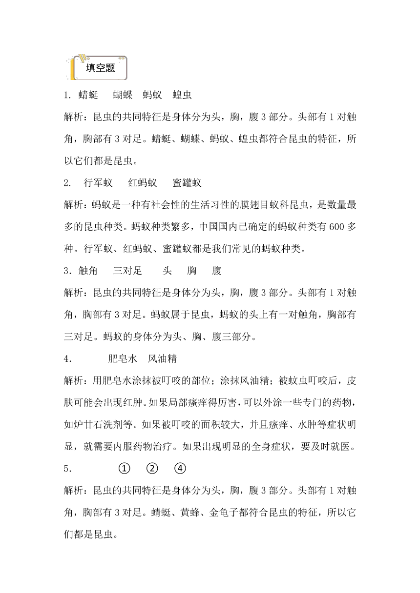 2023-2024学年（青岛版）四年级科学上册 第一单元 动物王国-期中专项复习