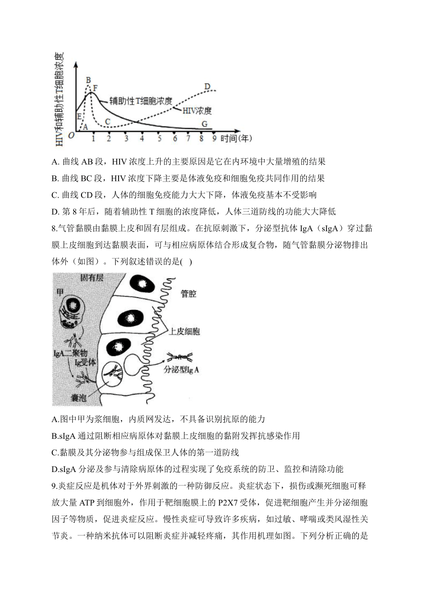 第4章 免疫调节 检测卷——2023-2024学年高二生物学浙科版（2019）选择性必修一（含解析）