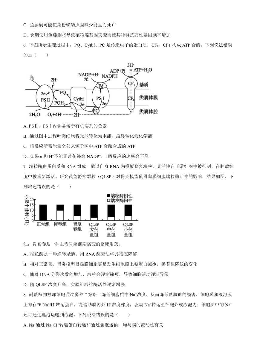 山东省枣庄市滕州市2023-2024学年高三上学期期中考试生物试卷（解析版）