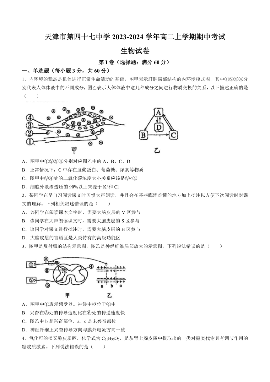 天津市第四十七中学2023-2024学年高二上学期期中考试生物学试题（含答案）