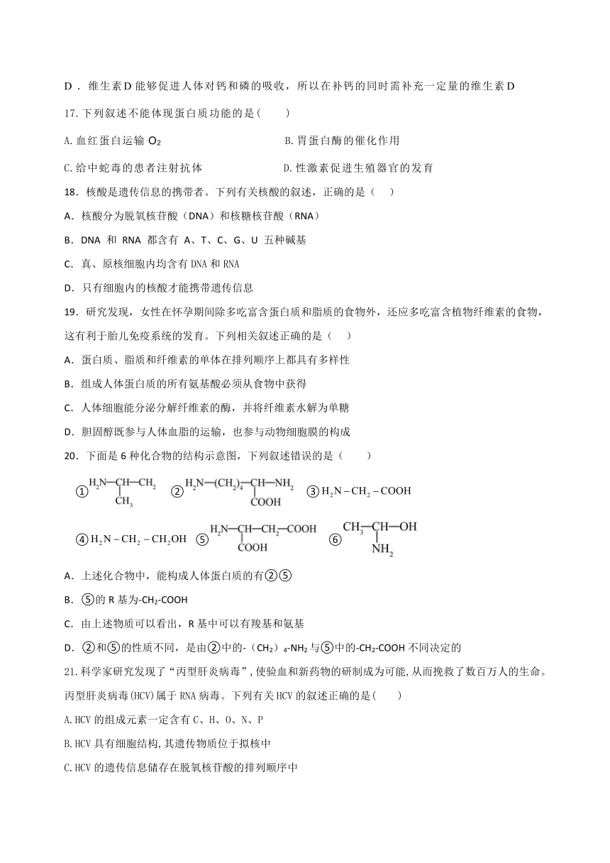 四川省内江市威远中学校2023-2024学年高一上学期期中考试生物学试题（含答案）