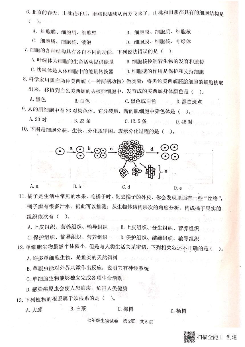 河北省唐山市迁安市2023-2024学年七年级上学期期中生物试题（图片版无答案）