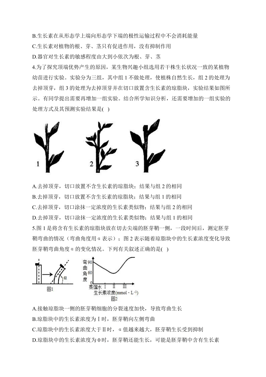 第5章 植物生命活动的调节 训练卷——2023-2024学年高二生物学人教版（2019）选择性必修一（含解析）