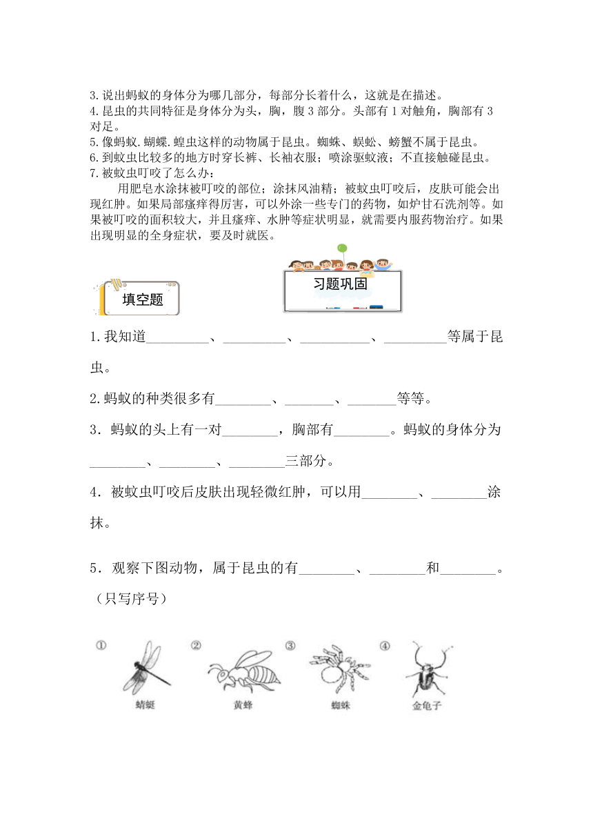 2023-2024学年（青岛版）四年级科学上册 第一单元 动物王国-期中专项复习