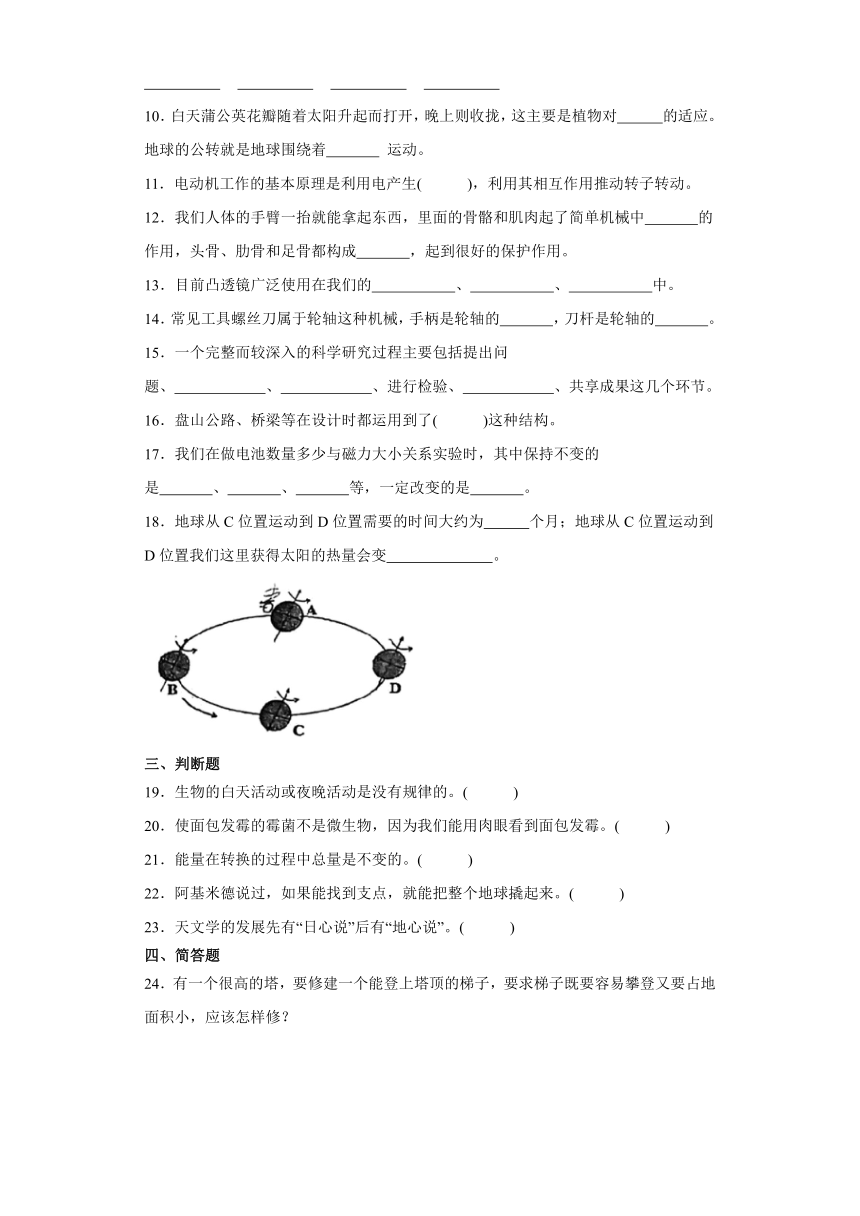 教科版六年级上册科学期末综合训练（含答案 ）