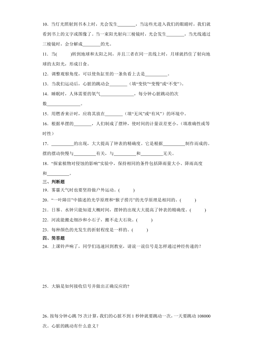 教科版五年级上册科学期末综合训练（含答案 ）