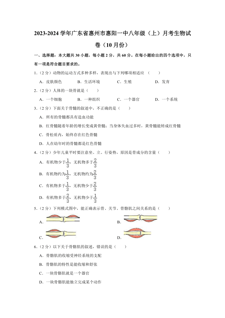 广东省惠州市惠阳一中实验学校2023-2024学年八年级上学期10月份月考生物试卷（含解析）