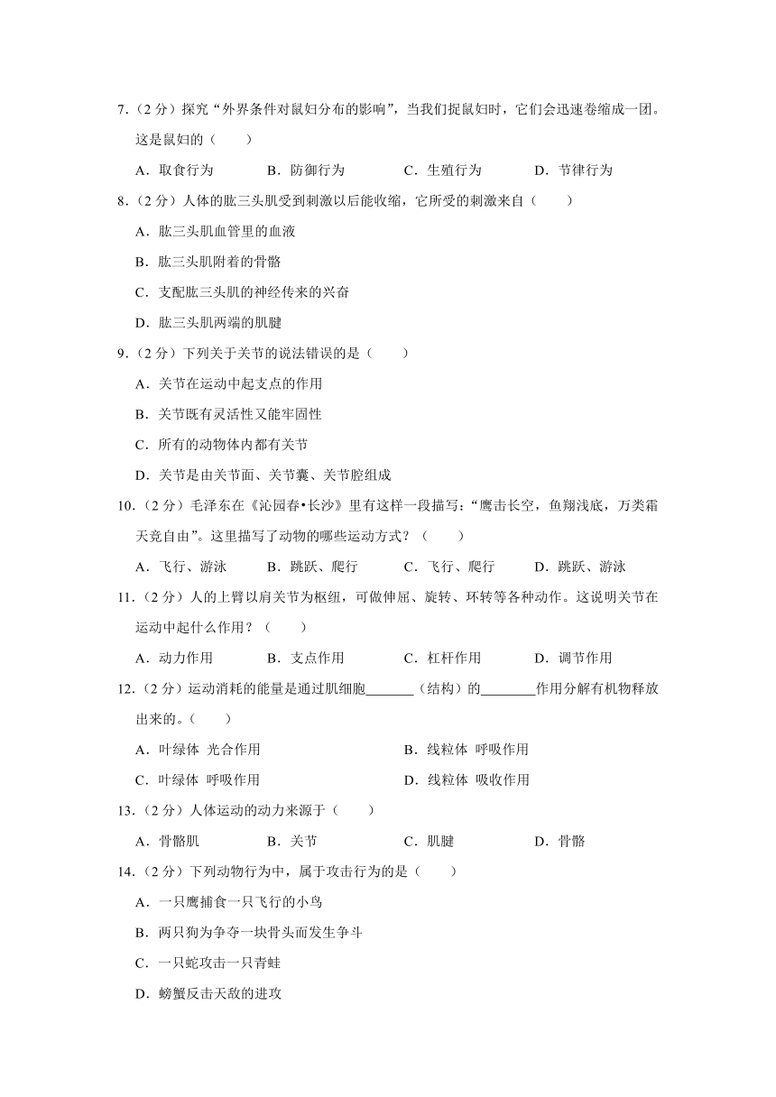 广东省惠州市惠阳一中实验学校2023-2024学年八年级上学期10月份月考生物试卷（含解析）