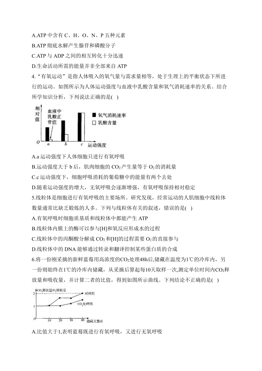 第5章 细胞的能量供应和利用 训练卷——2023-2024学年高一生物学人教版（2019）必修一（含解析）