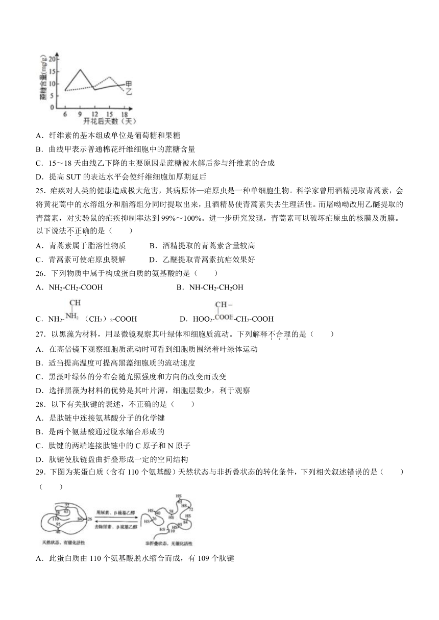 北京市朝阳区重点中学2023-2024学年高一上学期10月月考生物学试题（含答案）