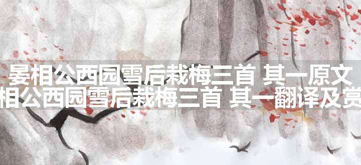 晏相公西园雪后栽梅三首 其一