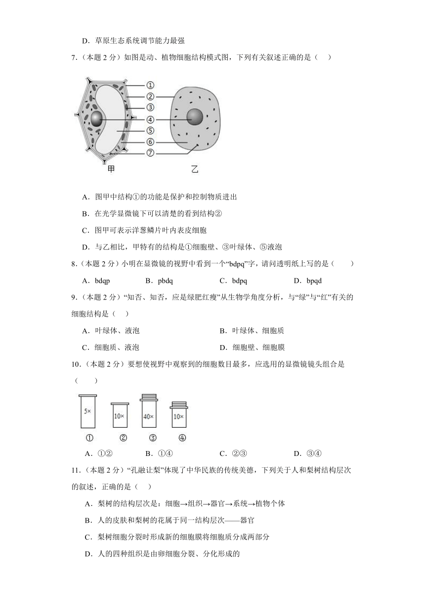 四川省成都市新都区2023-2024学年七年级上学期期末预测生物试题（含答案）