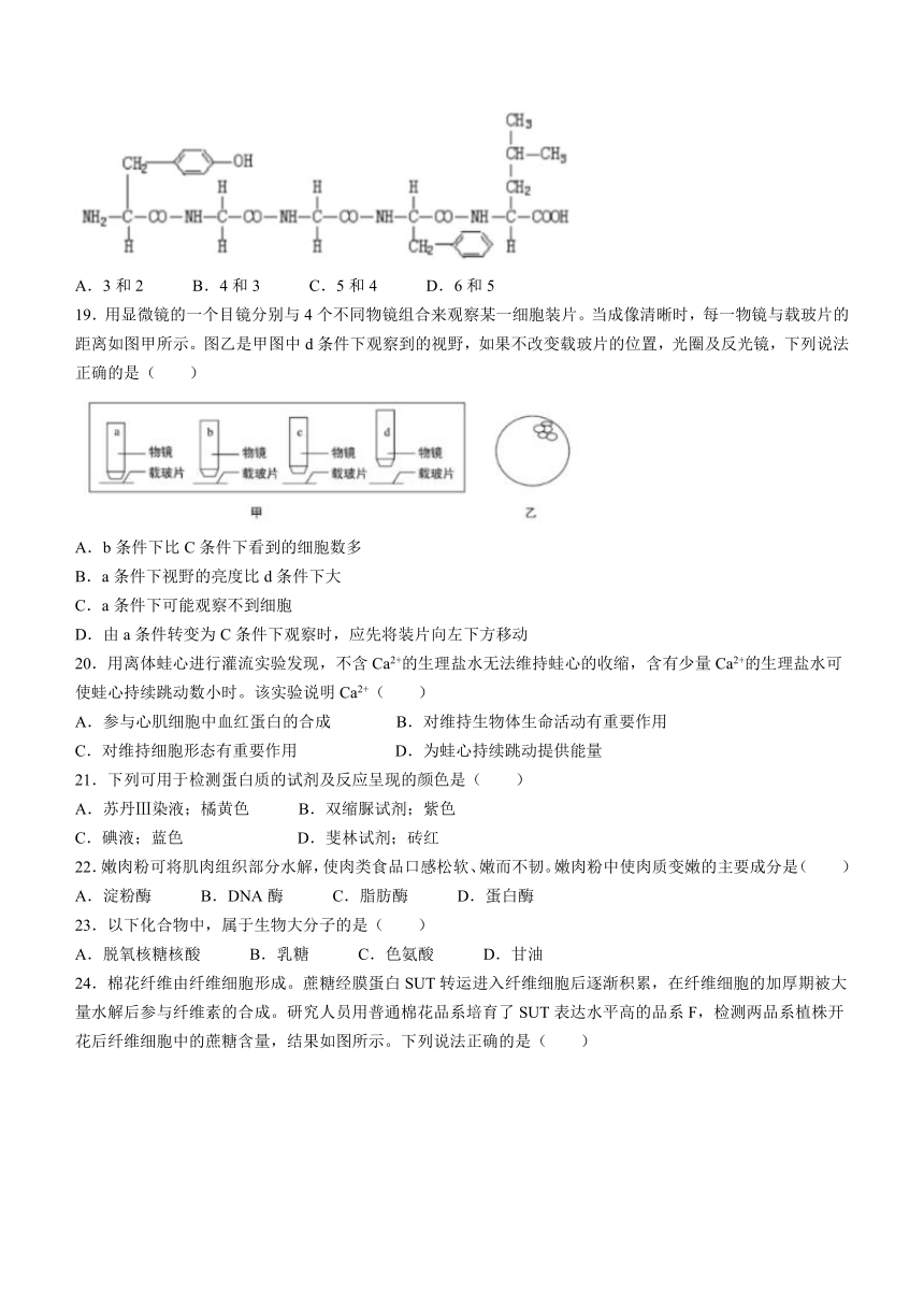 北京市朝阳区重点中学2023-2024学年高一上学期10月月考生物学试题（含答案）