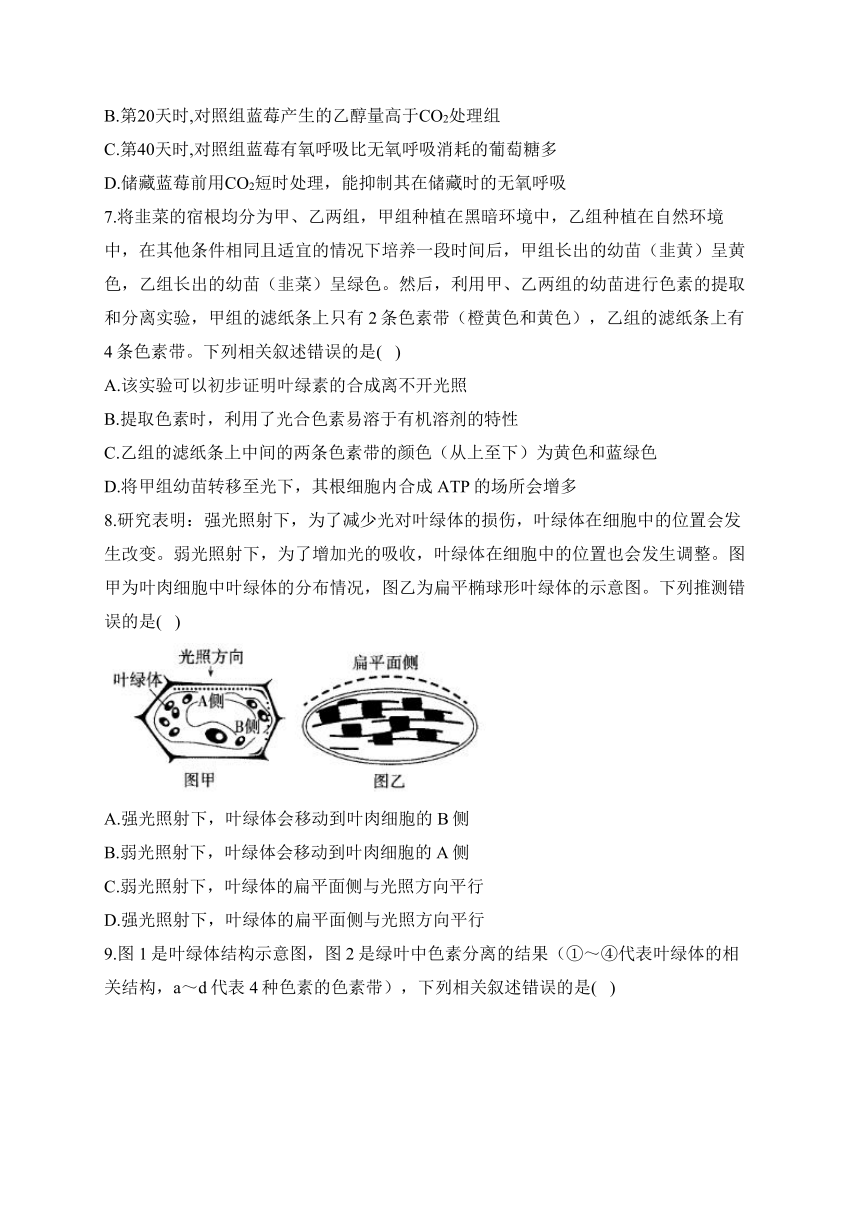 第5章 细胞的能量供应和利用 训练卷——2023-2024学年高一生物学人教版（2019）必修一（含解析）