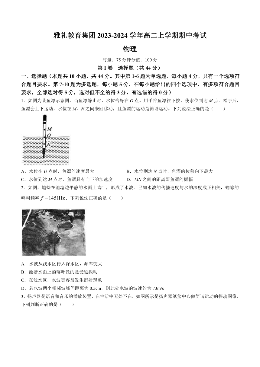 湖南省长沙市雅礼教育集团2023-2024学年高二上学期期中考试物理试题（含解析）