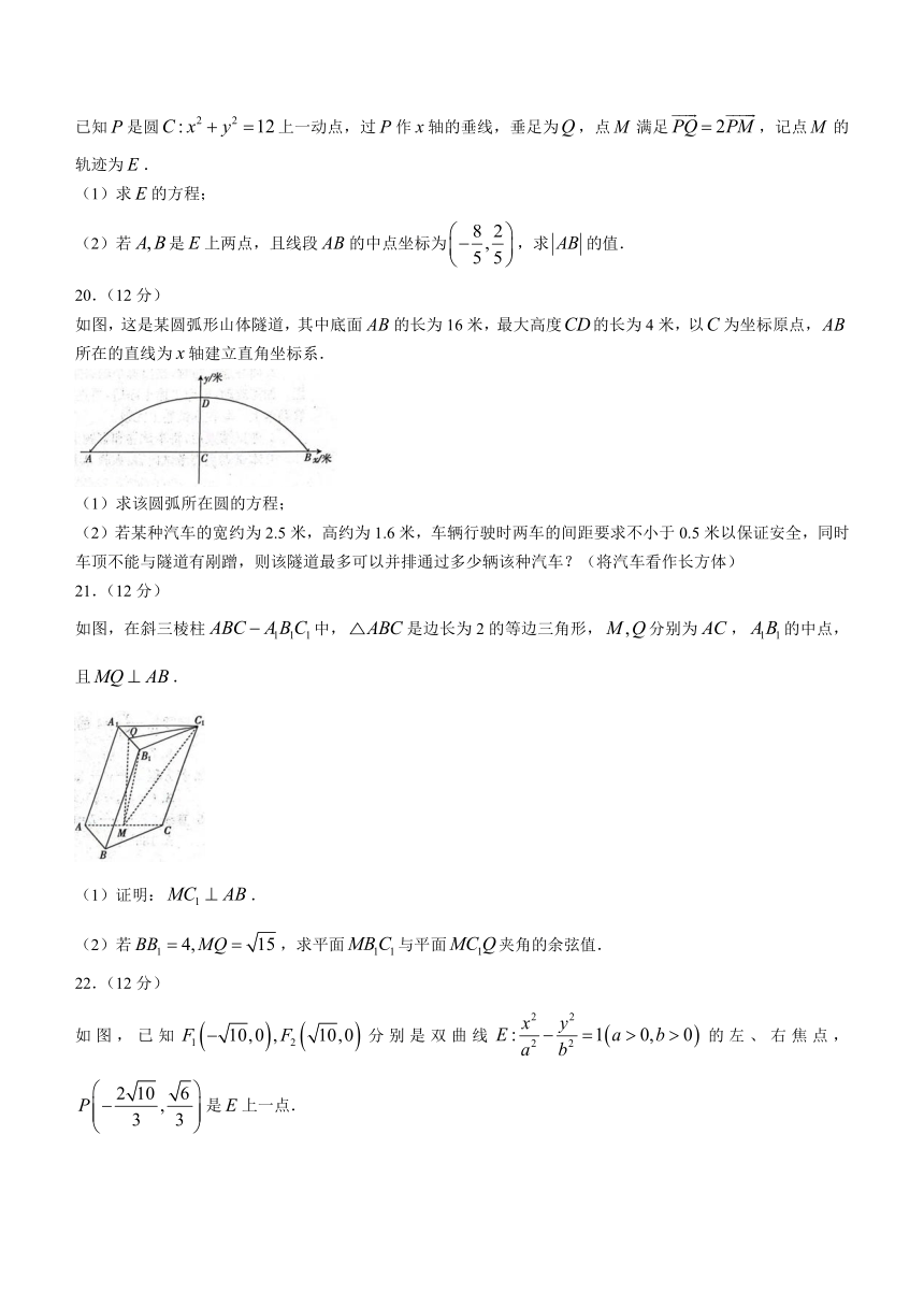 河北省邢台市五岳联盟2023-2024学年高二上学期期中考试数学试题（含解析）