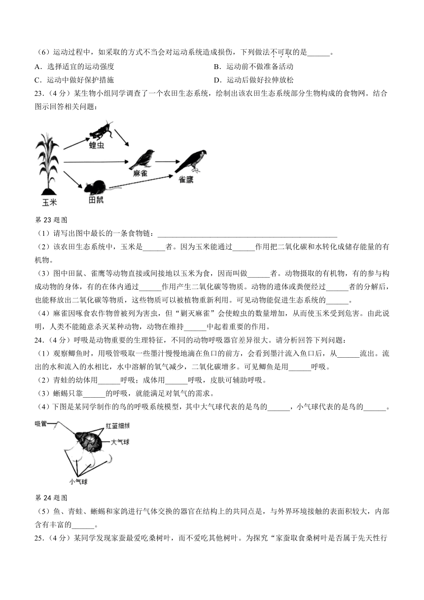 辽宁省大连市甘井子区2023-2024学年八年级上学期期中生物试题(含答案)