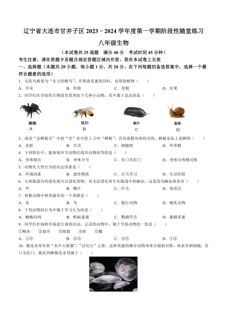 辽宁省大连市甘井子区2023-2024学年八年级上学期期中生物试题(含答案)