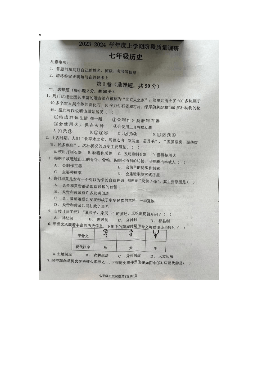 山东省临沂市兰陵县2023-2024学年七年级上学期11月期中历史试题（图片版 无答案）